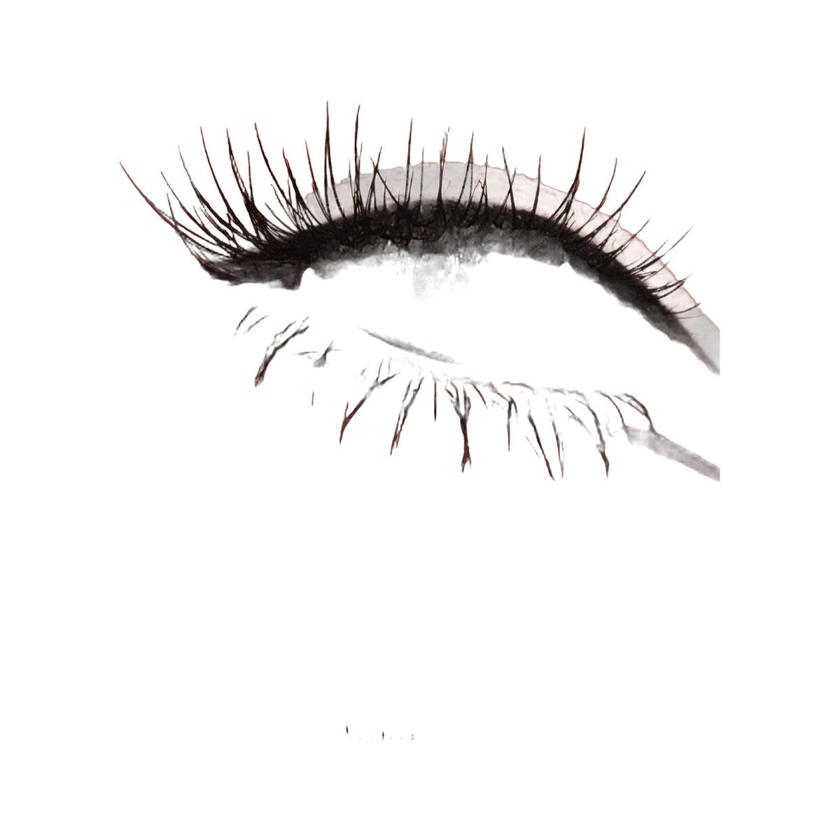 Liquid Liner · Delineador líquido