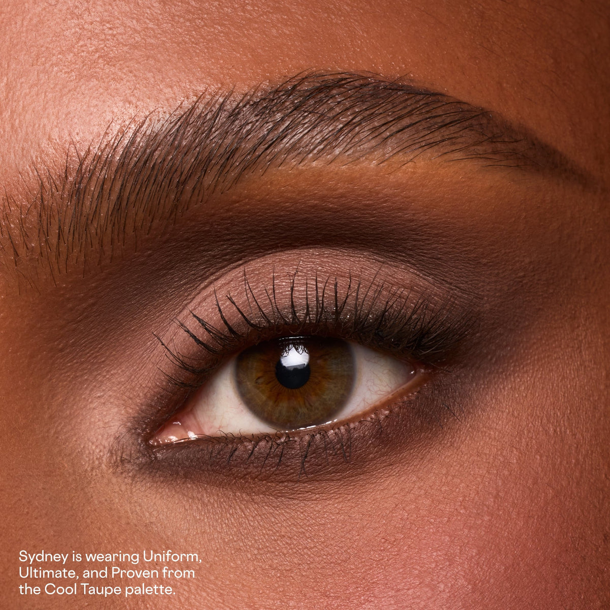 Major Dimension Essential Artistry · Paleta de sombras