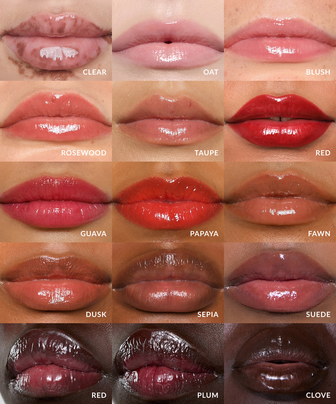 Lip Gloss · Gloss de labios