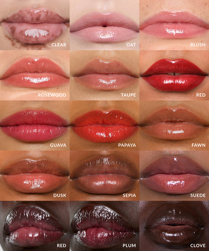 Lip Gloss · Gloss de labios