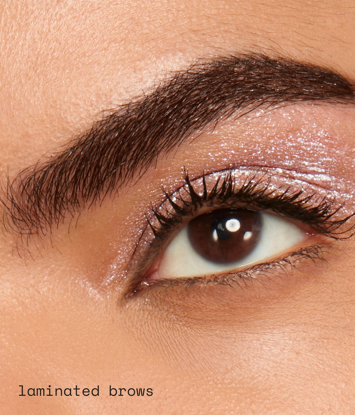 Brow Gel · Gel de cejas efecto laminado