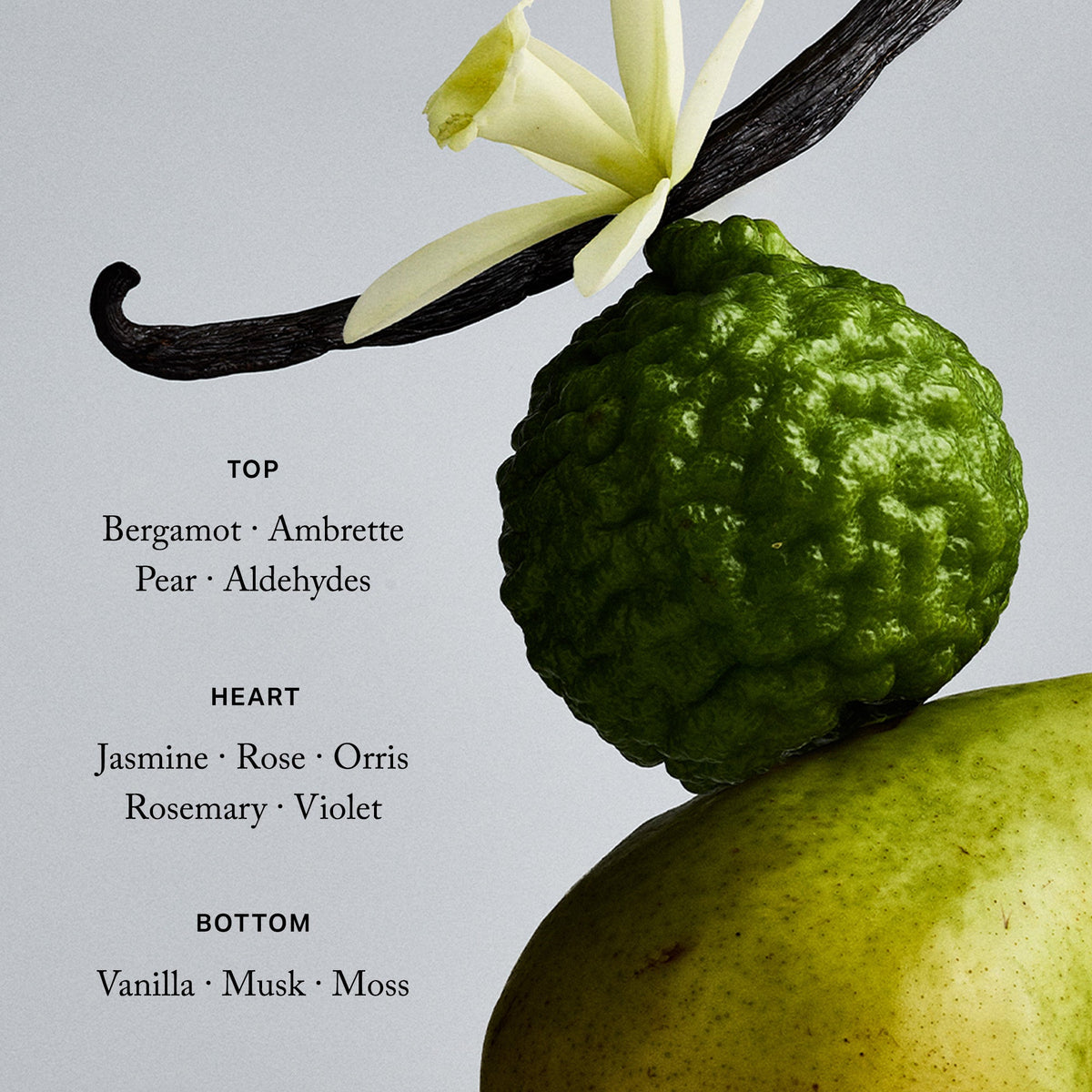 Retrospect · Eau de Parfum