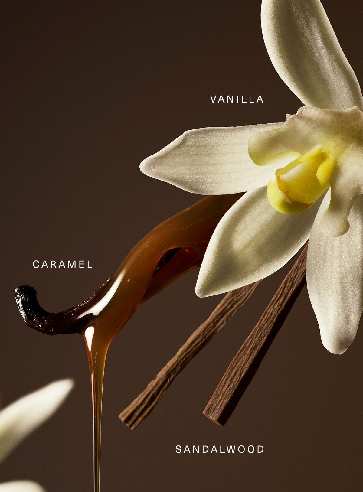 Rare · Eau de Parfum