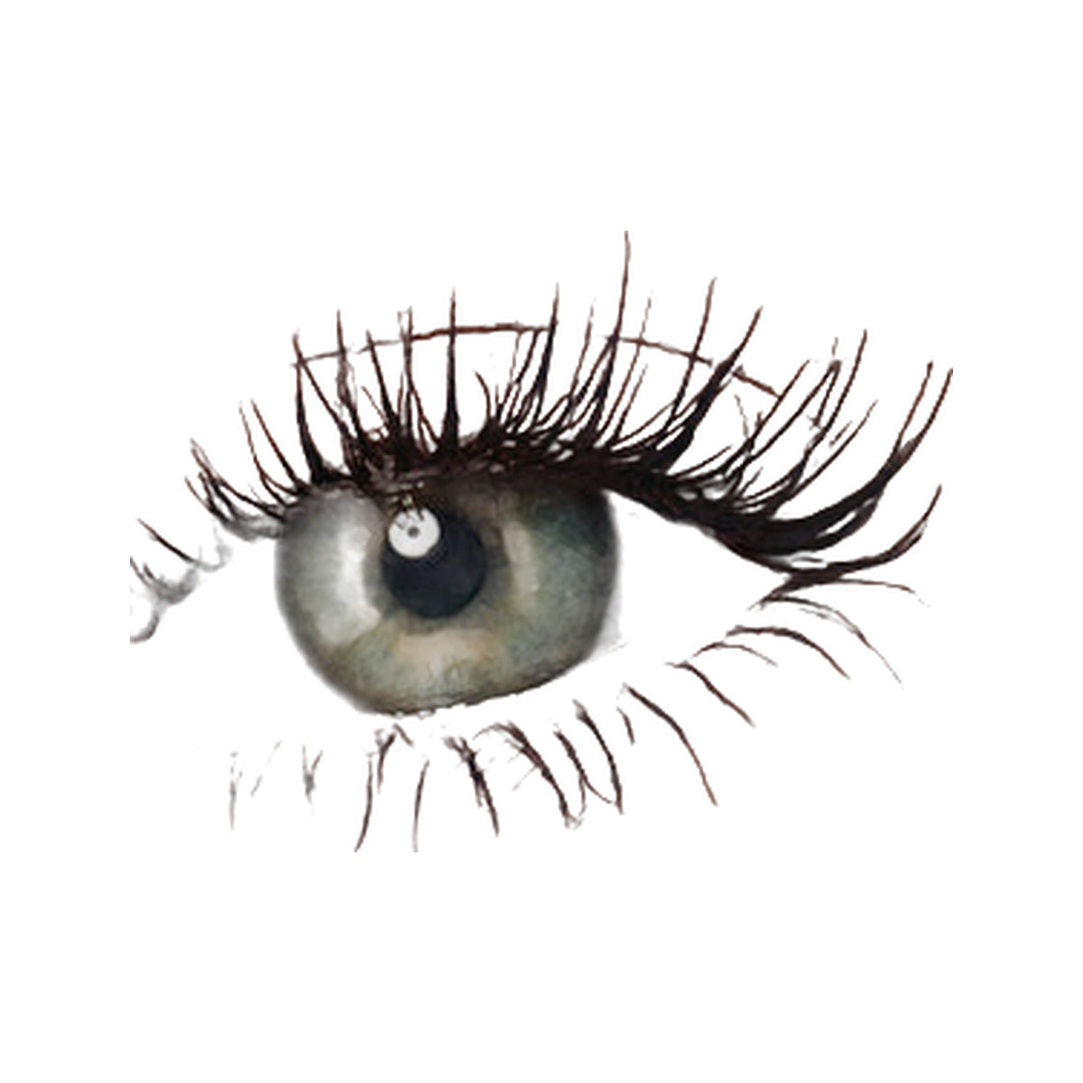 Exagger-Eyes · Sombra en barra