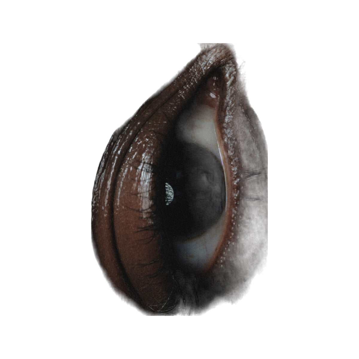 Full Orbit · Contorno de ojos 360°