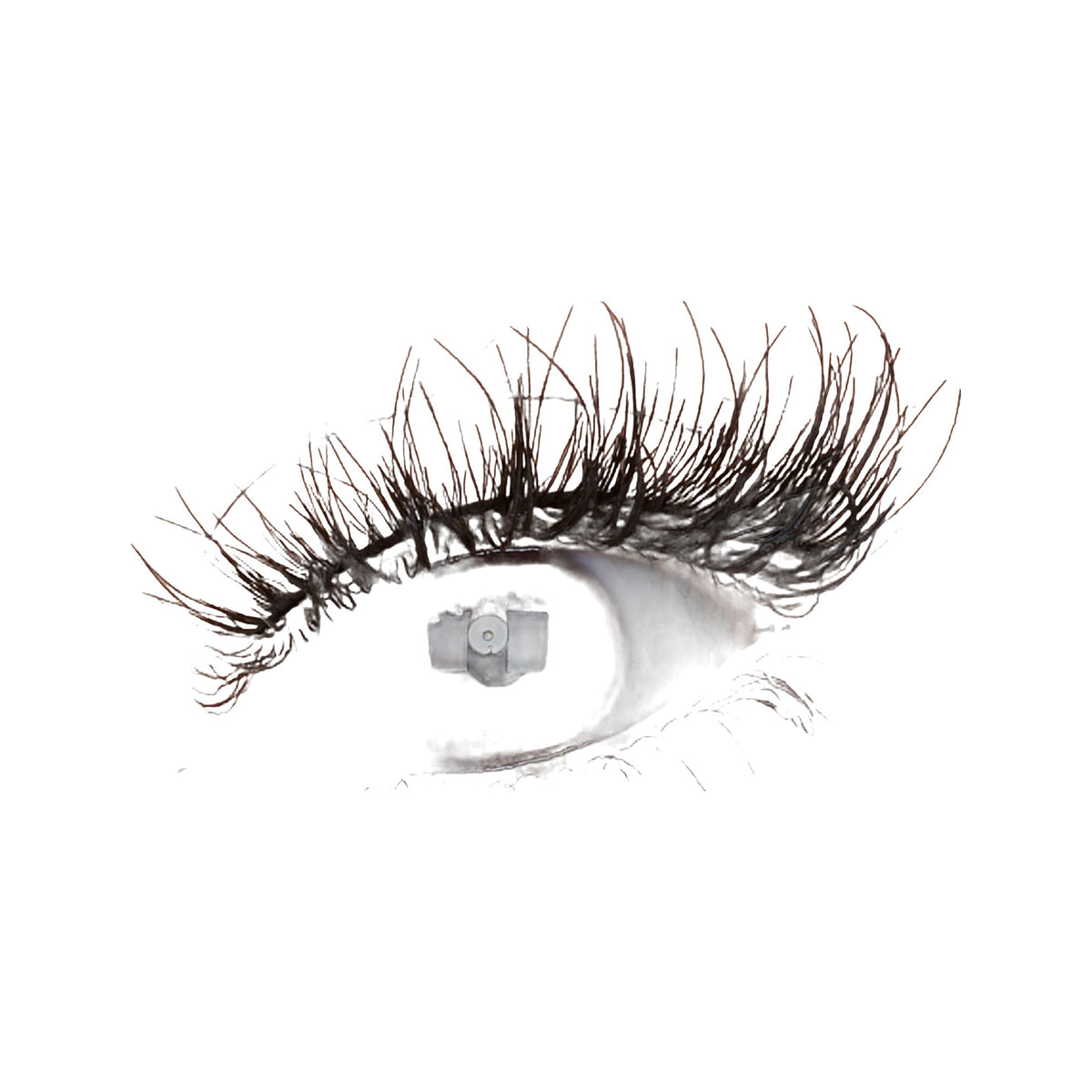 Classic False Lash · Pestañas postizas