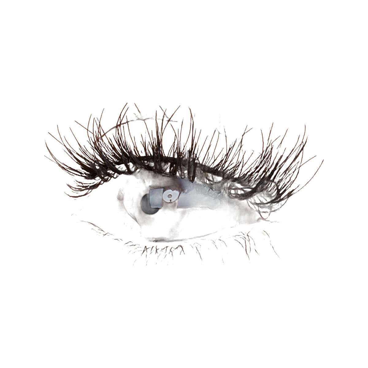 Classic False Lash · Pestañas postizas