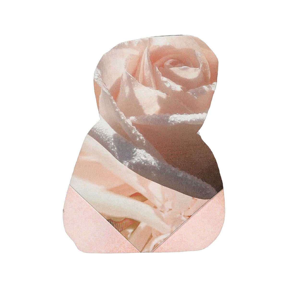 Blush Wood · Eau de Parfum