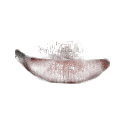 Cloud Balm · Bálsamo labial