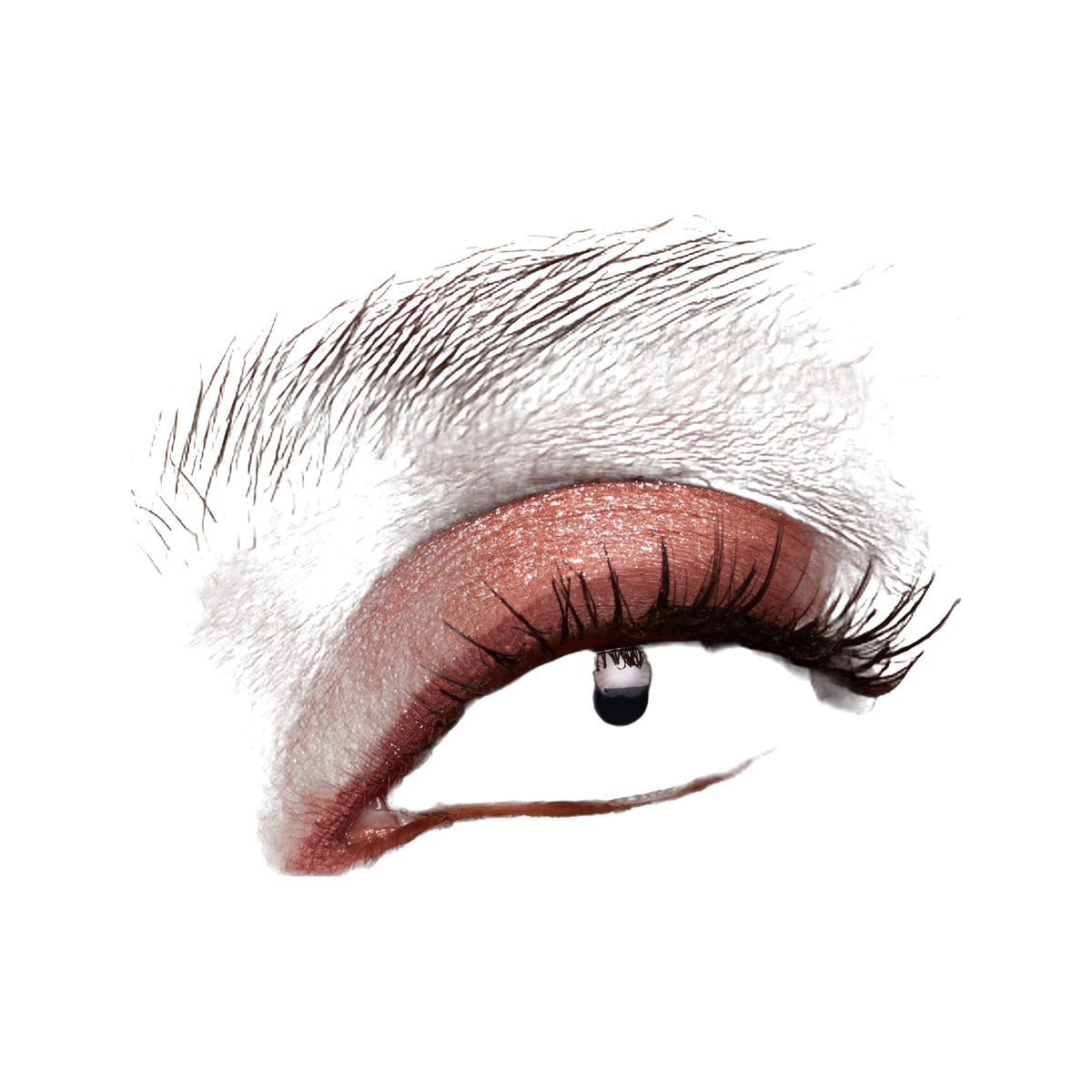 Major Dimension Dream Date · Paleta de sombras