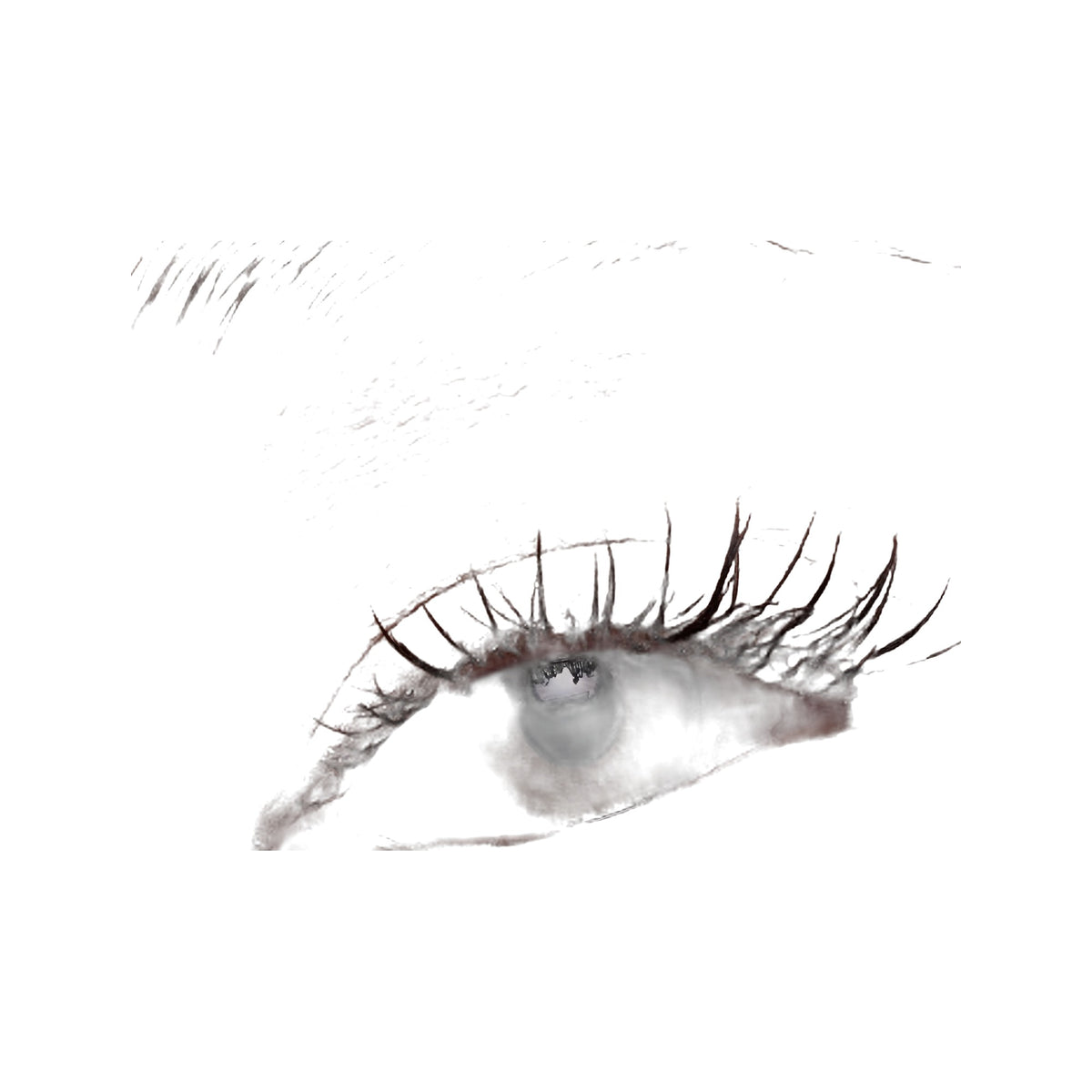 Major Dimension Dream Date · Paleta de sombras