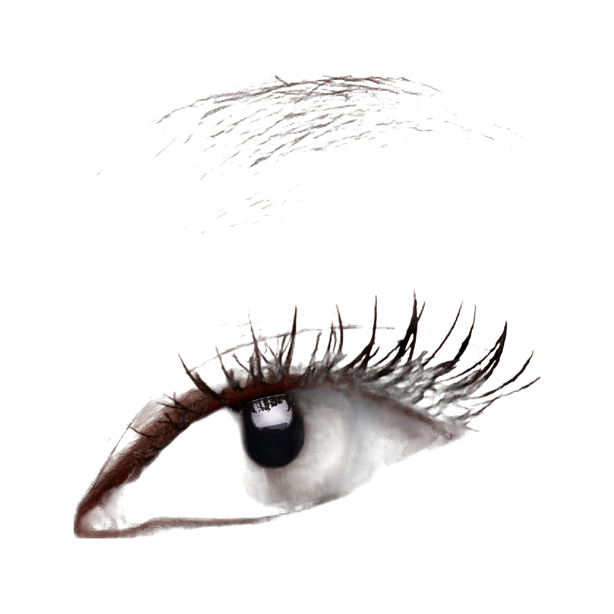 Major Dimension Essential Artistry · Paleta de sombras