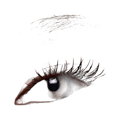 Major Dimension Essential Artistry · Paleta de sombras