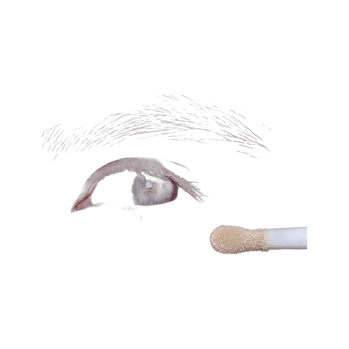 Concealer · Corrector